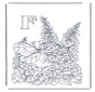 Buchstabe F