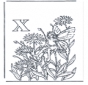 Buchstabe X