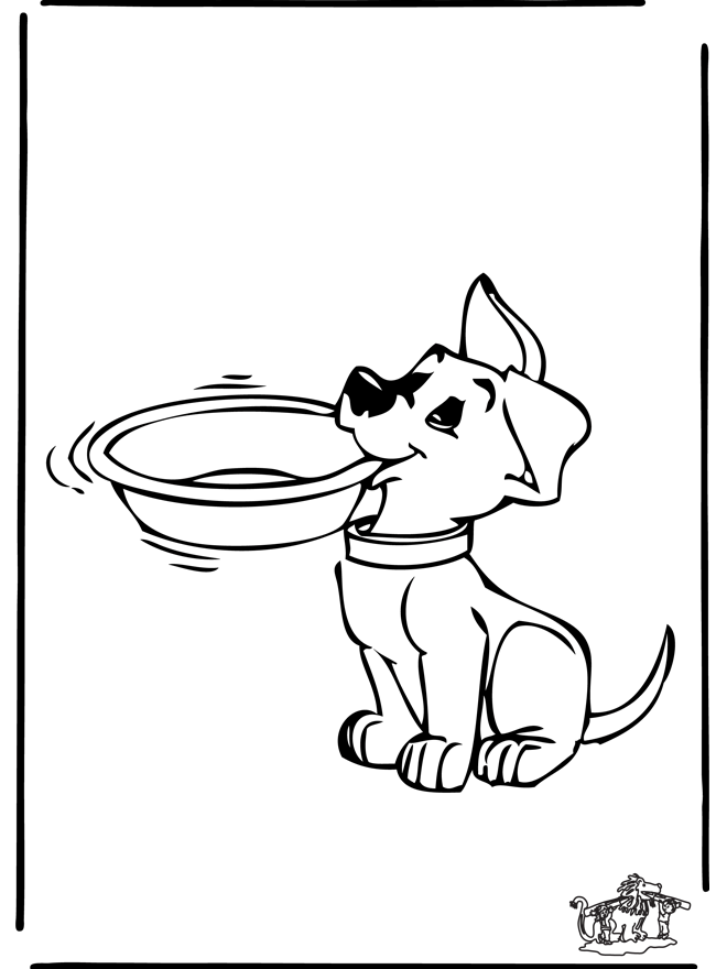 Hund 5