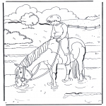 Ausmalbilder Tiere - Im Wasser