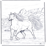 Ausmalbilder Tiere - Pferd im Wasser