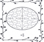 Valentins mandala malvorlagen