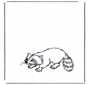 Waschbär