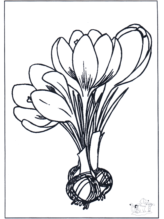 Blumen 1 - Malvorlagen blumen