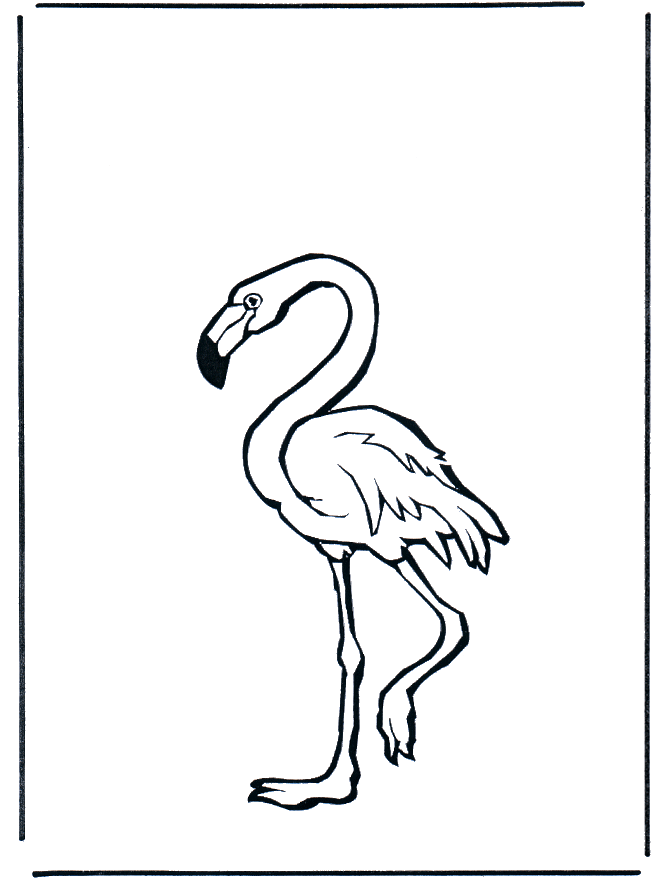 Flamingo - Ausmalbilder Vögel
