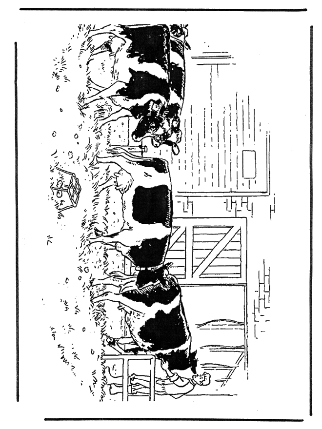 Kühe - Malvorlagen Haus und Bauernhoftiere