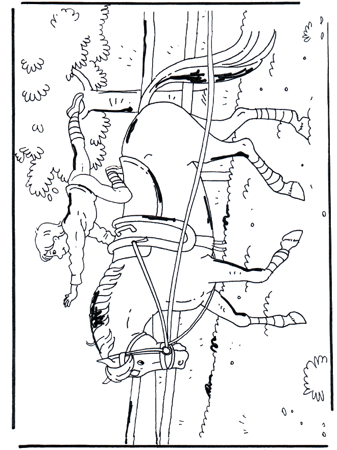 Kunststück auf Pferd - Ausmalbilder pferde