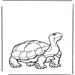 Ausmalbilder Tiere - Landschildkröte