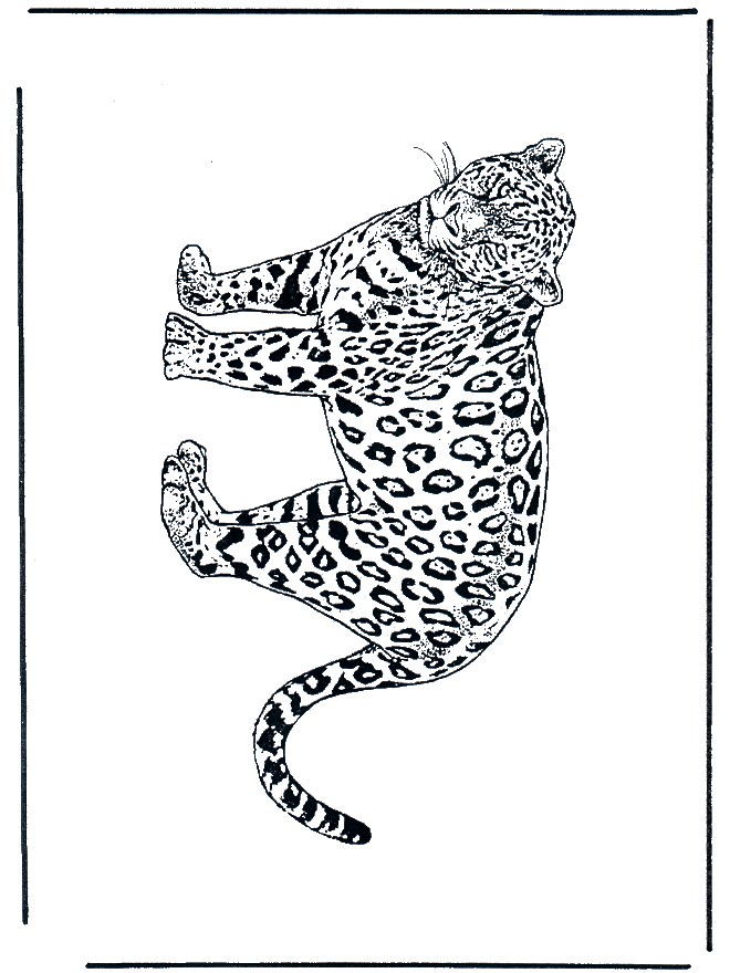 Leopard 2 - Malvorlagen Katzenartigen