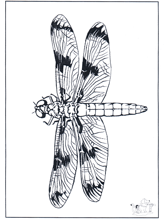 Libelle 2 - Malvorlagen Insekten