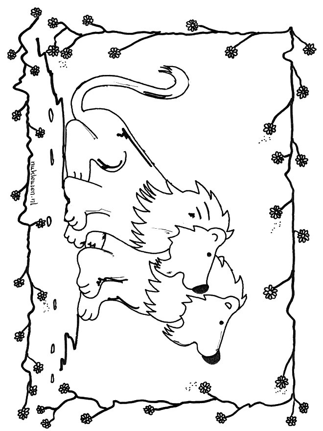 Löwen 6 - Malvorlagen Katzenartigen