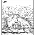 Ausmalbilder Tiere - Pferd 6