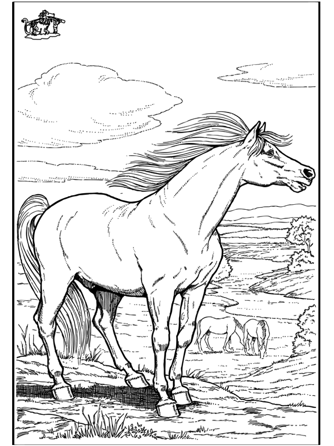 Pferd 9 - Ausmalbilder pferde