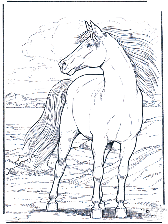 Pferd im Wind - Ausmalbilder pferde