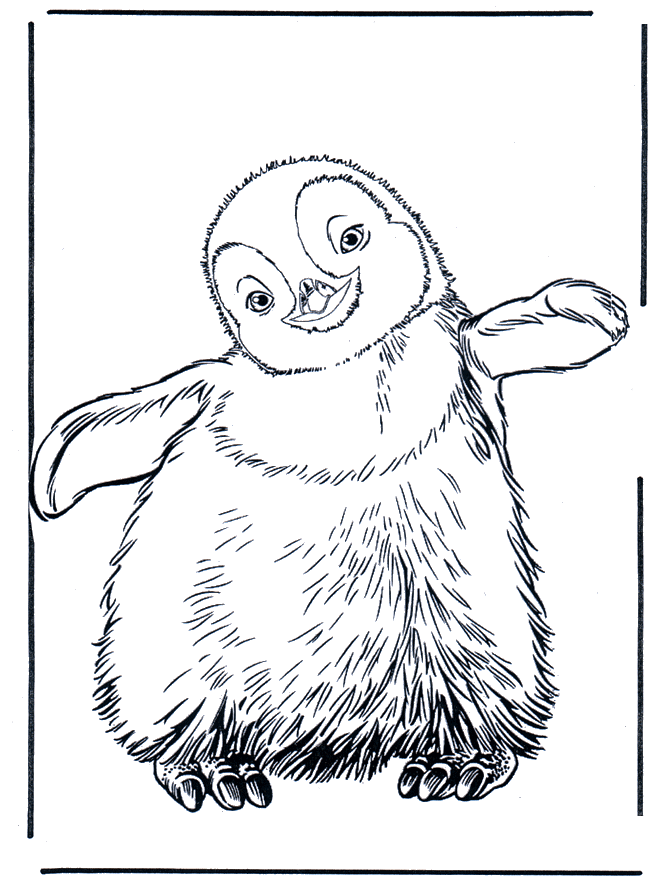 Pinguin 3 - Malvorlagen Zoo