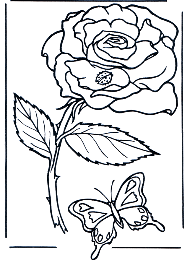 Rose - Malvorlagen blumen