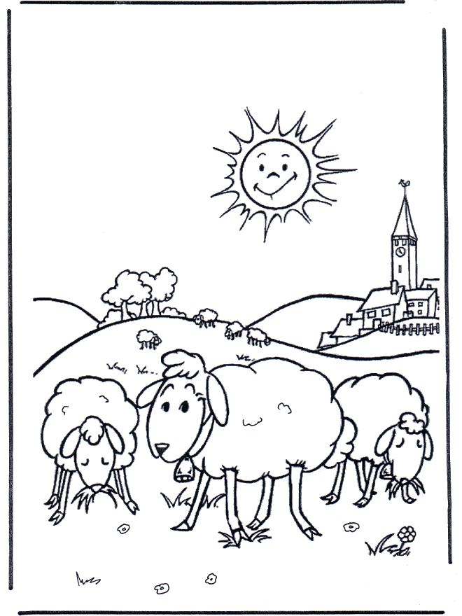Schafe in der Wiese - Ausmalbilder am Bauernhof