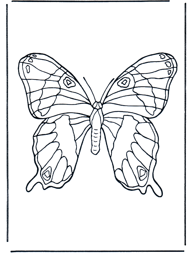 Schmetterling 1 - Malvorlagen Insekten