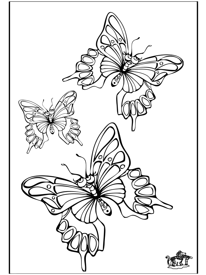 Schmetterlinge 5 - Malvorlagen Insekten