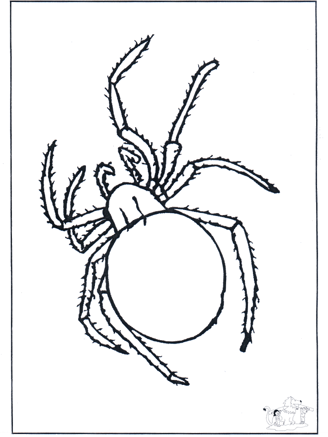 Spinne - Malvorlagen Insekten