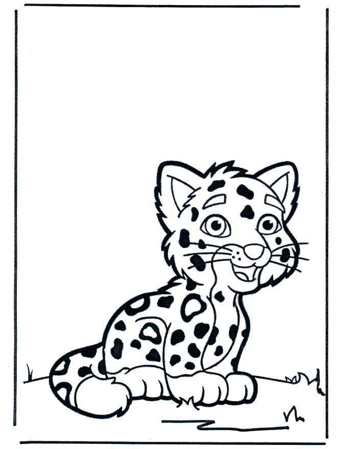 ausmalbilder leopard ausdrucken  kinder zeichnen und ausmalen